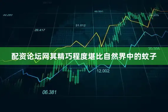 配资论坛网其精巧程度堪比自然界中的蚊子