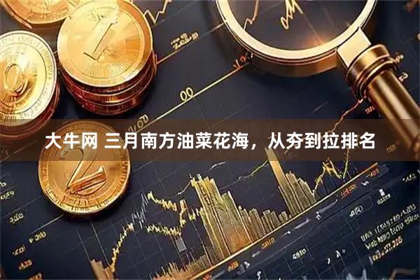 大牛网 三月南方油菜花海，从夯到拉排名